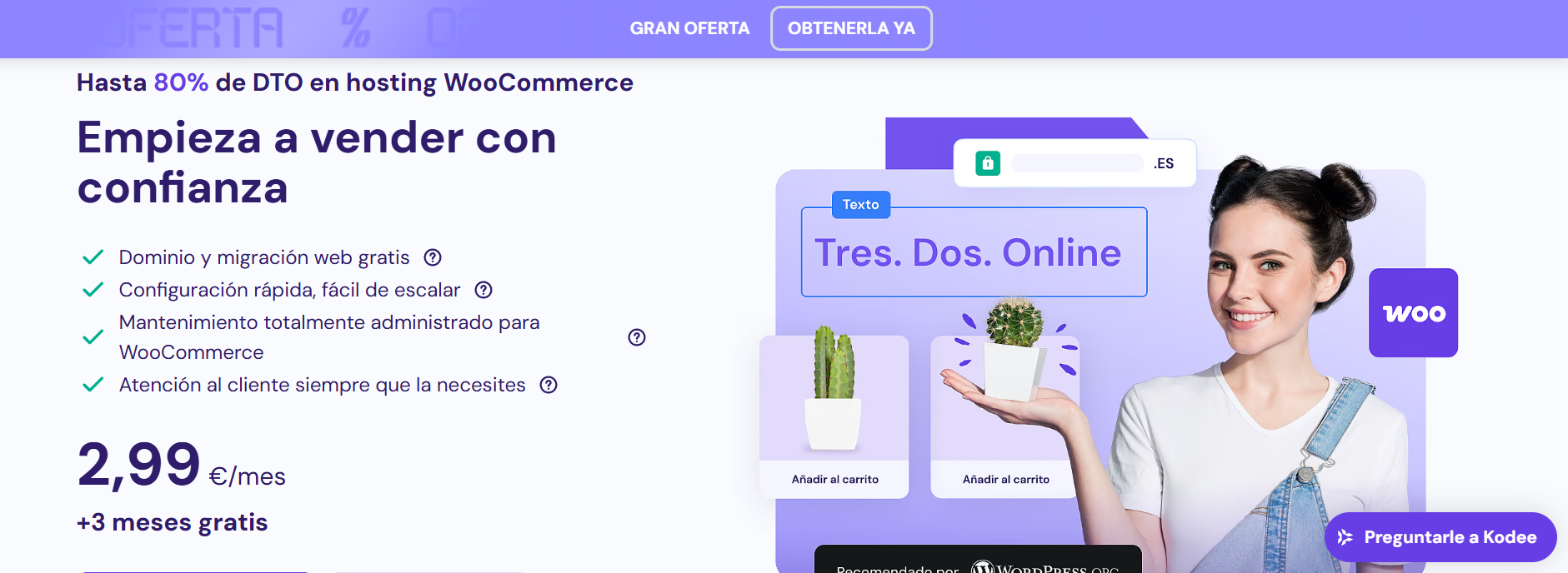 Servicio de Hosting y Dominio